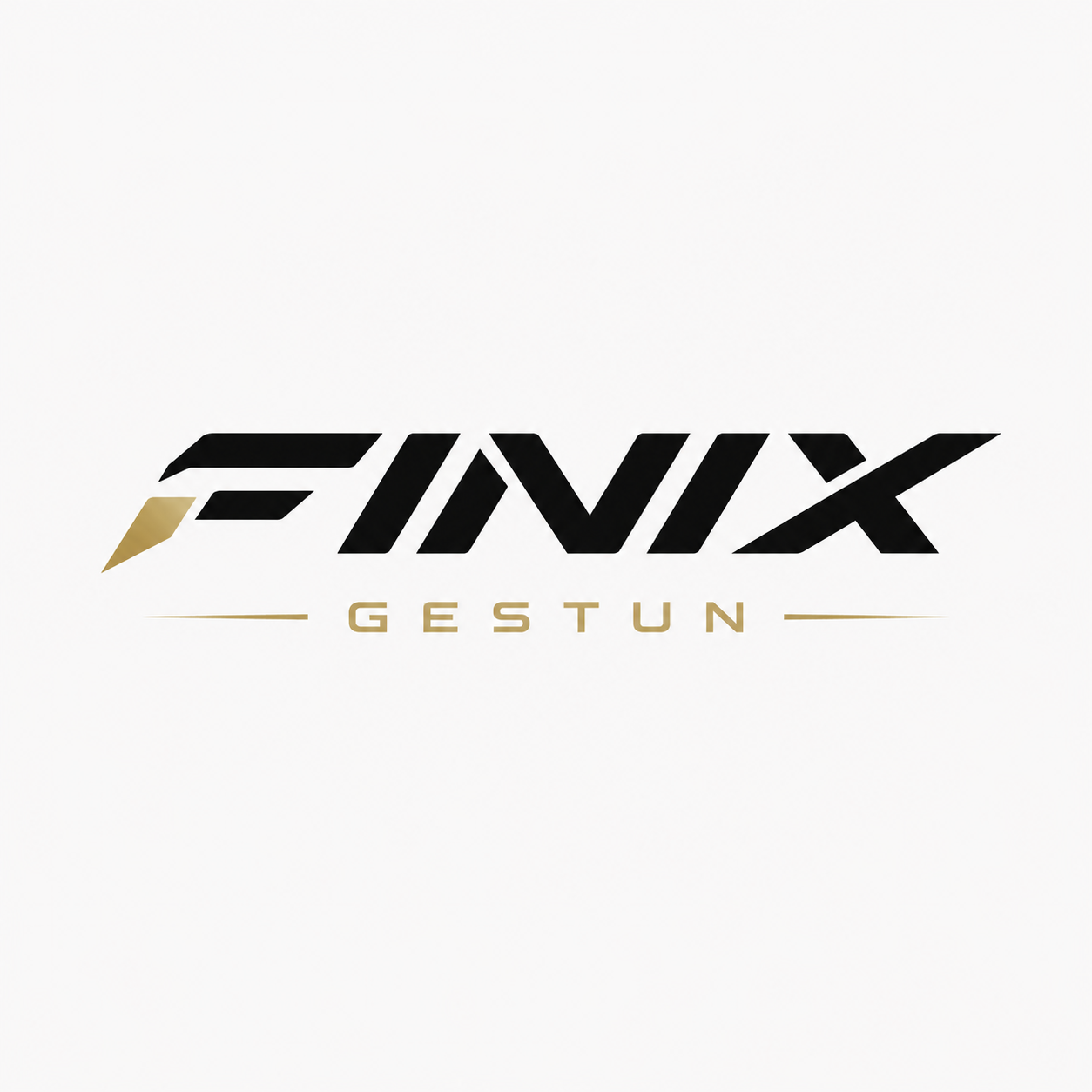 FINIX GESTUN