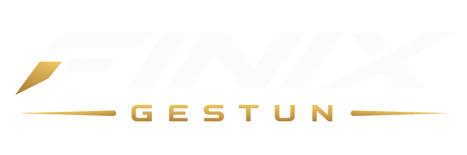FINIX GESTUN